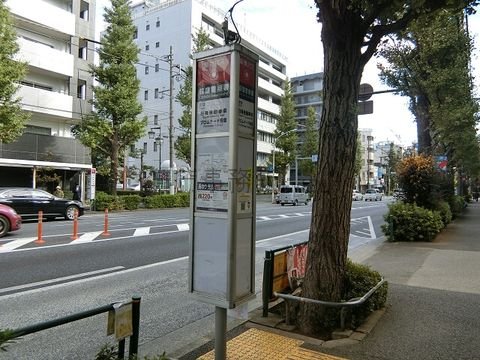 バス停 (荻窪警察署)