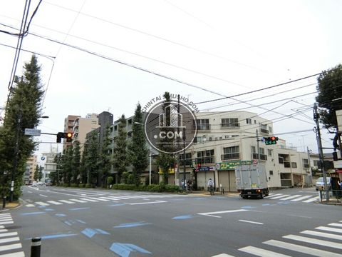 大通り