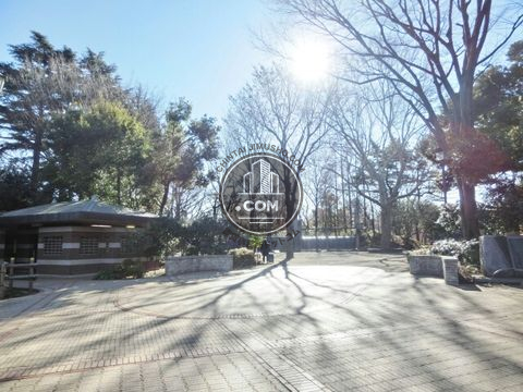 大通り