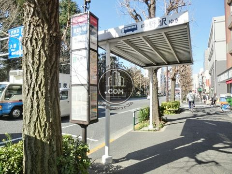 大通り