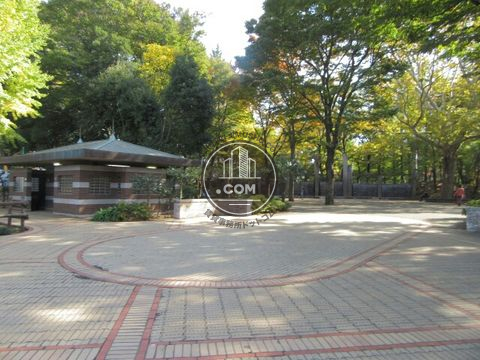 大通り