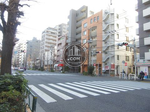 大通り