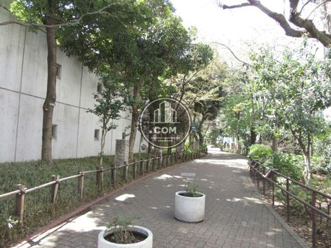 大通り