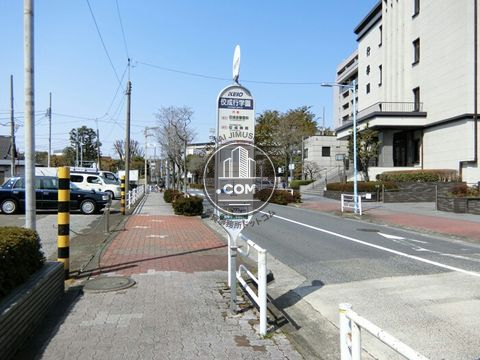 大通り