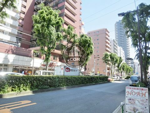 大通り