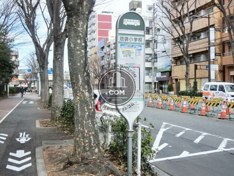 大通り