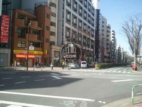 大通り