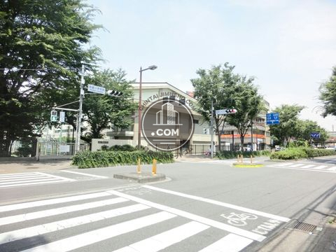 大通り
