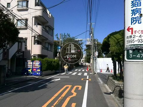 裏路地