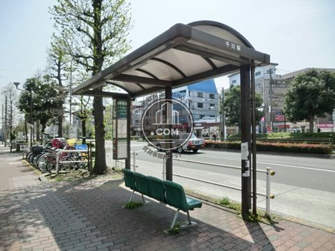 大通り