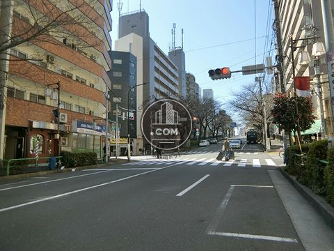 大通り