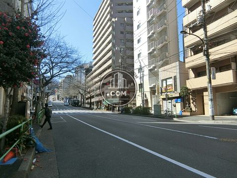大通り