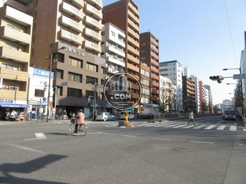 大通り