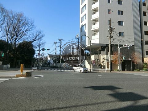 大通り