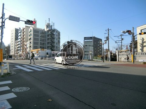 大通り
