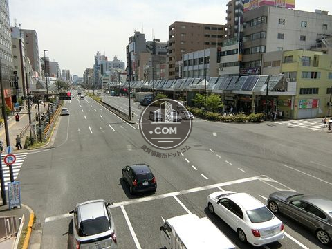 大通り