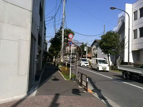 大通り