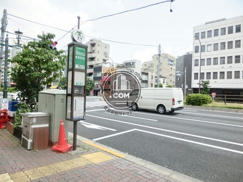 大通り