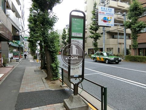 大通り
