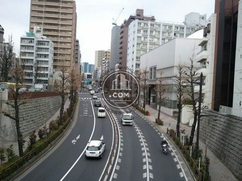 大通り