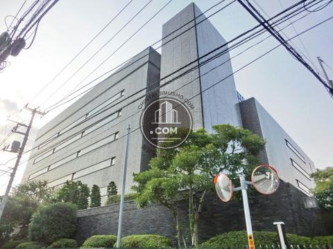 大通り