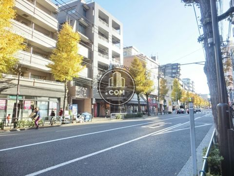 大通り