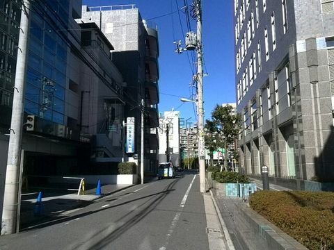 新目白通りを一本入った路地