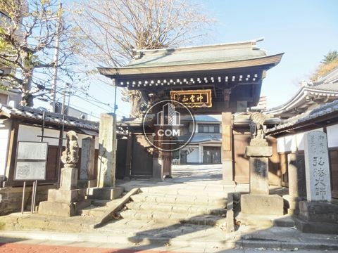 裏路地