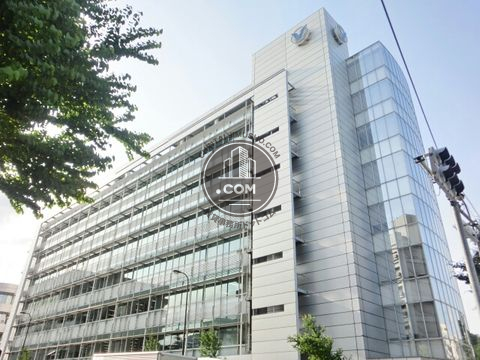 大通り