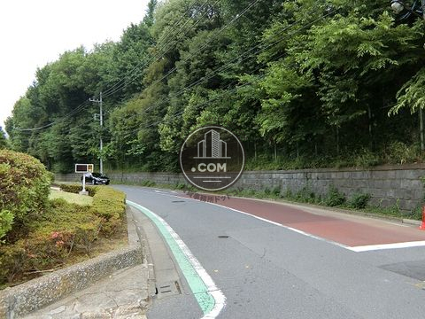 大通り