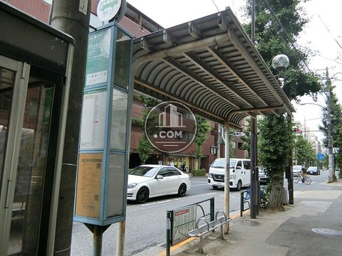 大通り