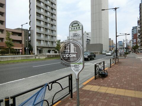 大通り