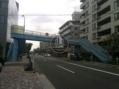 大通り