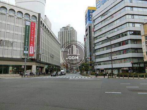 大通り