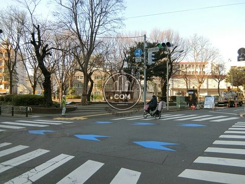 大通り