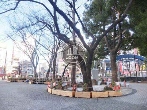 駅周辺