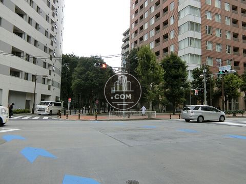 大通り