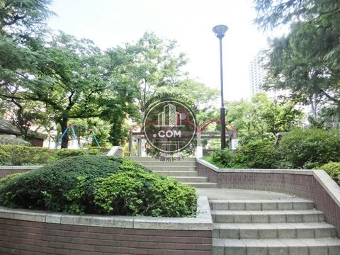 大通り