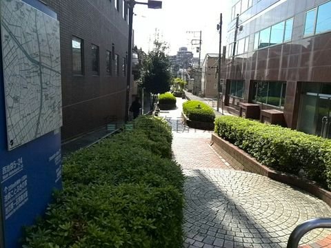谷端川南緑道
