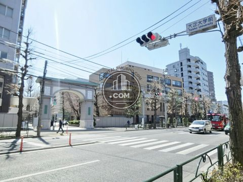 大通り