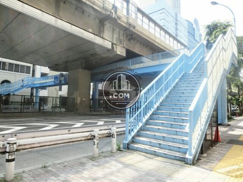 大通り