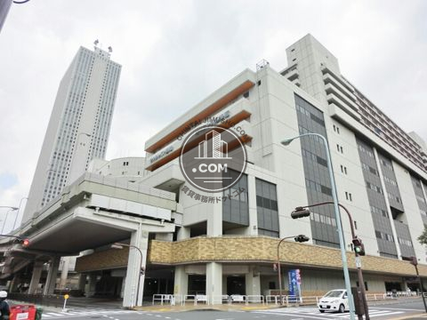 大通り