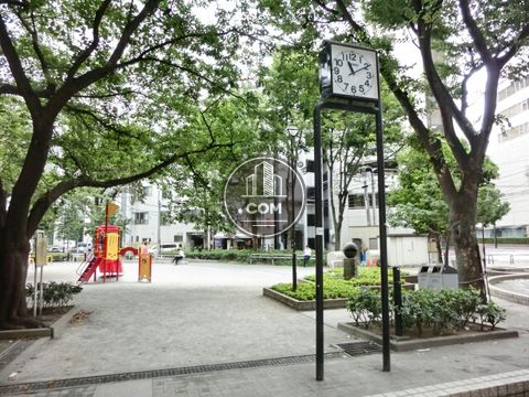 大通り