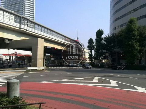 大通り
