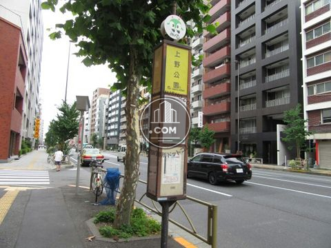 大通り