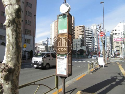 大通り