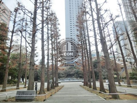 裏路地