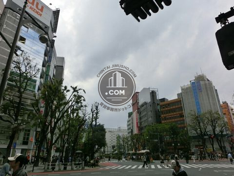 大通り