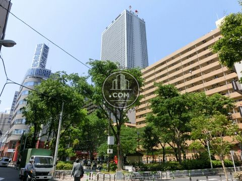 駅周辺