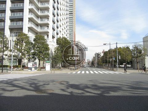 大通り